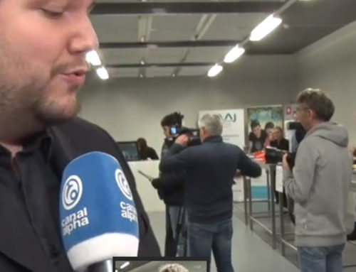 Canal Alpha Report “Speed Dating” – 21.11.2019
