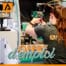 emploi metier offre emploi metteur en train taillage web